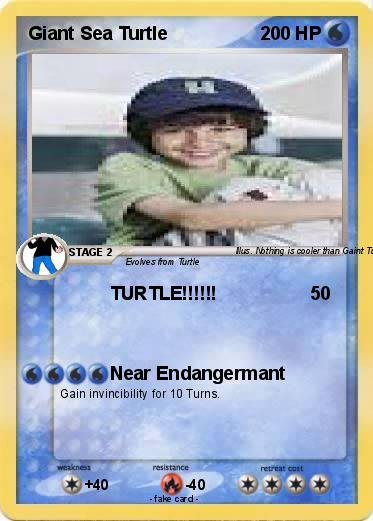 Pokemon Giant Sea Turtle