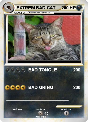 Pokemon EXTREM BAD CAT