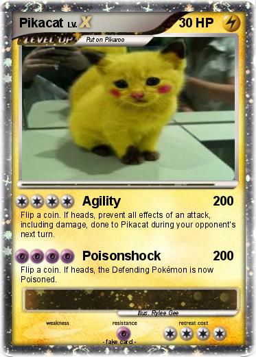 Pokemon Pikacat