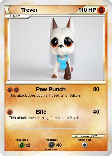 Pokemon Trever