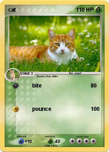 Pokemon cat