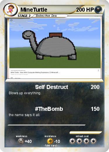Pokemon MineTurtle