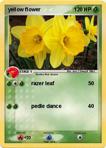 Pokemon yellow flower