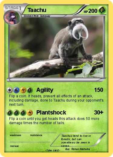 Pokemon Taachu