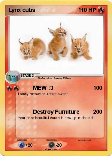 Pokemon Lynx cubs