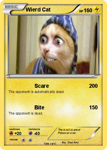 Pokemon Wierd Cat
