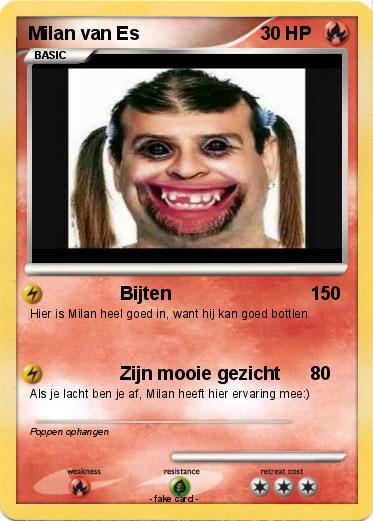 Pokemon Milan van Es