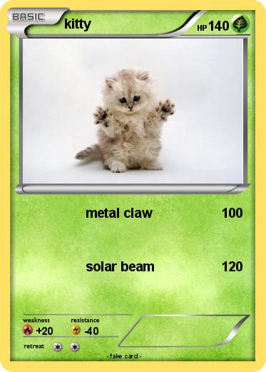 Pokemon kitty