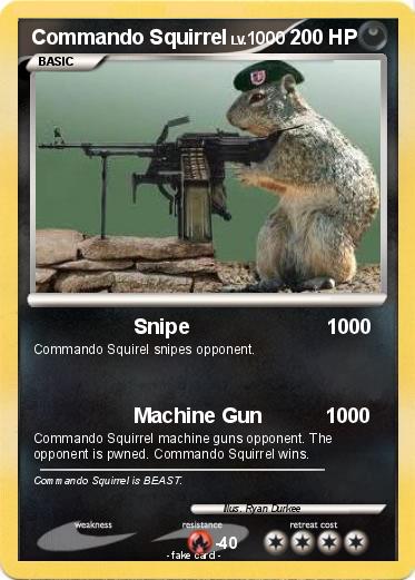 Pokemon Commando Squirrel