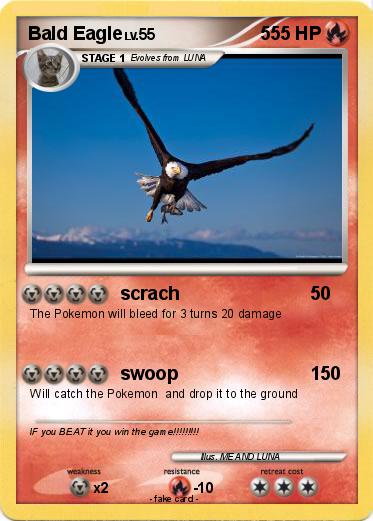 Pokemon Bald Eagle