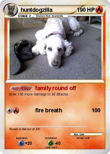 Pokemon huntdogzilla