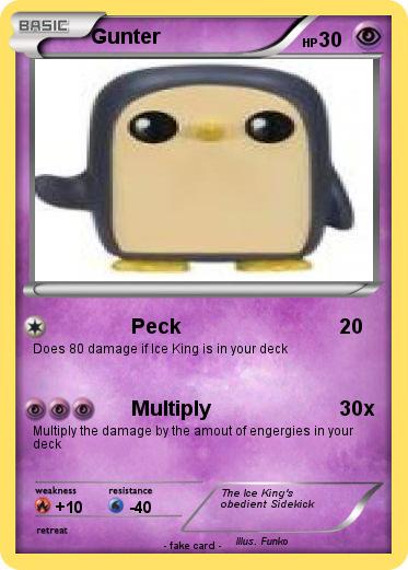 Pokemon Gunter