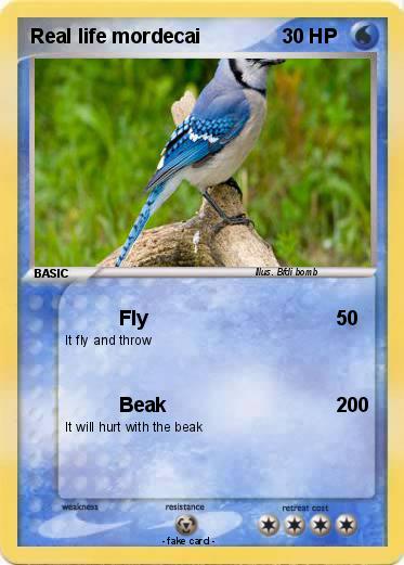 Pokemon Real life mordecai