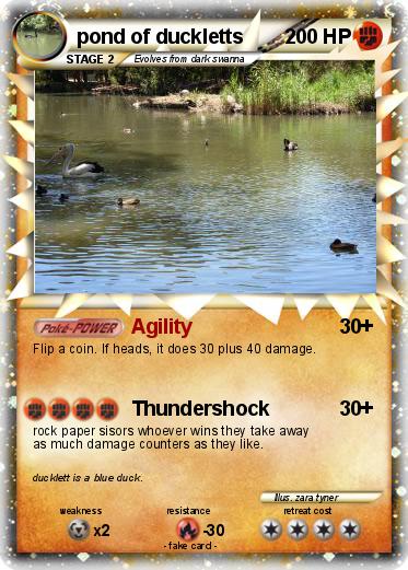 Pokemon pond of duckletts