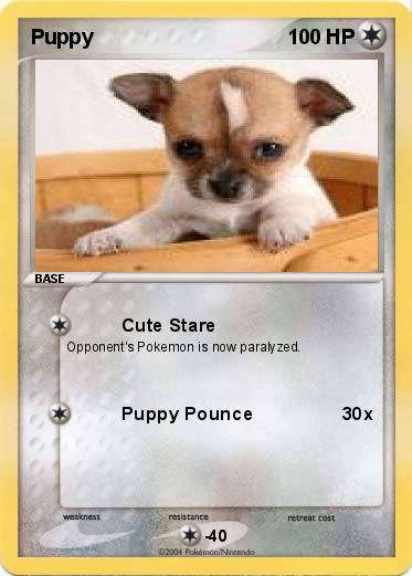 Pokemon Puppy