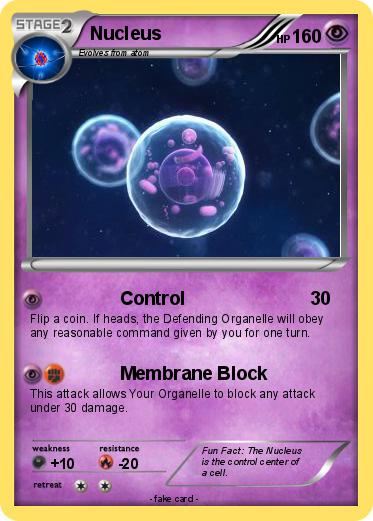 Pokemon Nucleus