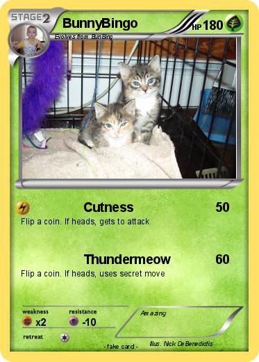 Pokemon BunnyBingo
