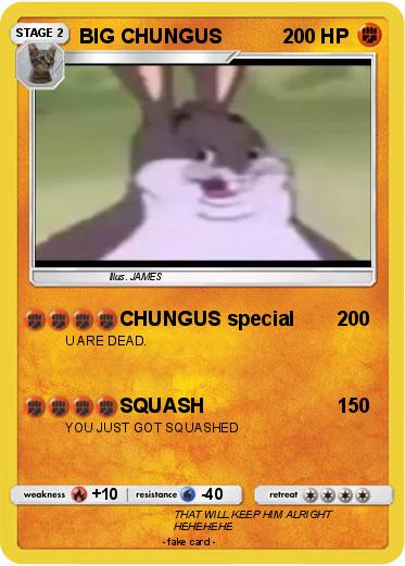 Pokemon BIG CHUNGUS