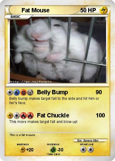 Pokemon Fat Mouse