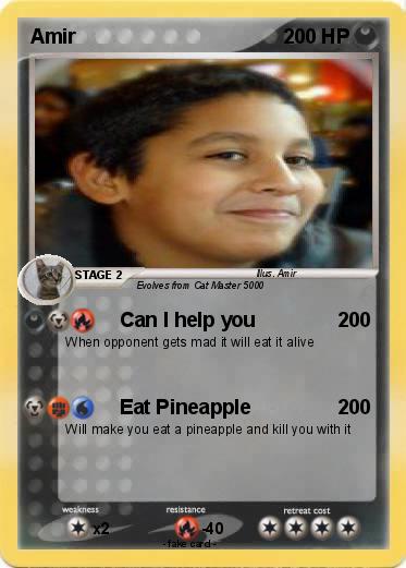 Pokemon Amir