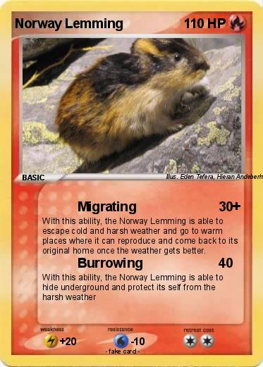 Pokemon Norway Lemming