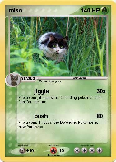 Pokemon miso