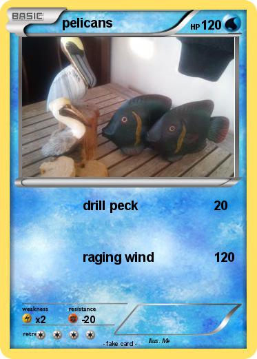 Pokemon pelicans