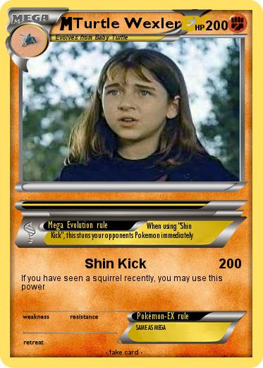 Pokemon Turtle Wexler