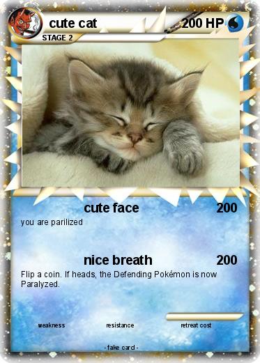 Pokemon cute cat