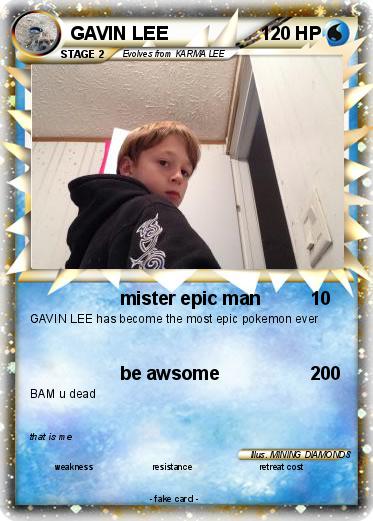 Pokemon GAVIN LEE