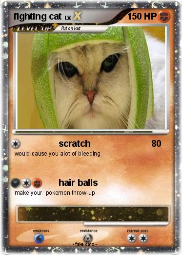 Pokemon fighting cat