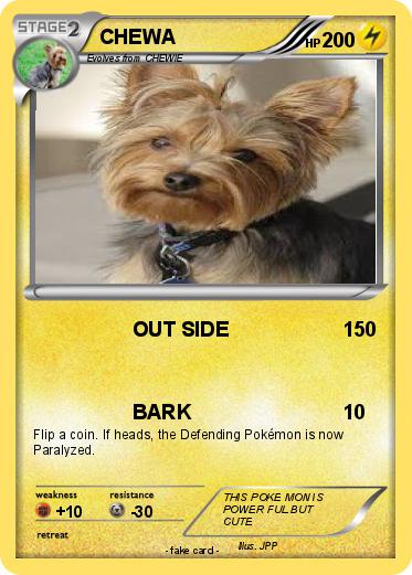 Pokemon CHEWA
