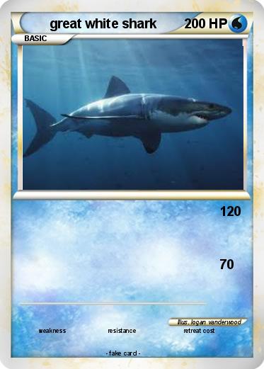 Pokemon great white shark