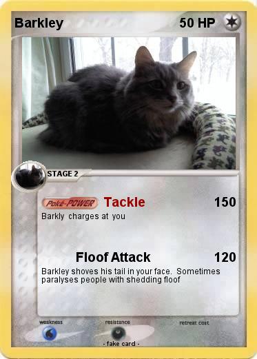 Pokemon Barkley