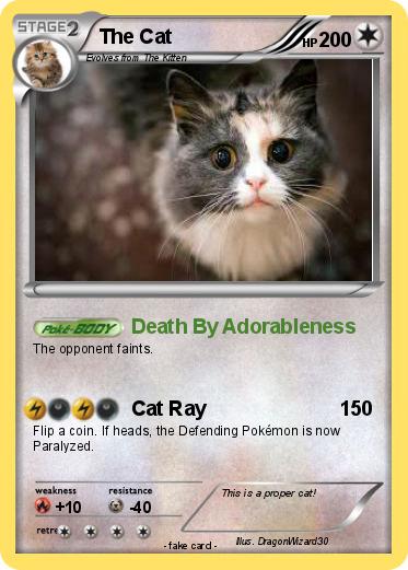 Pokemon The Cat