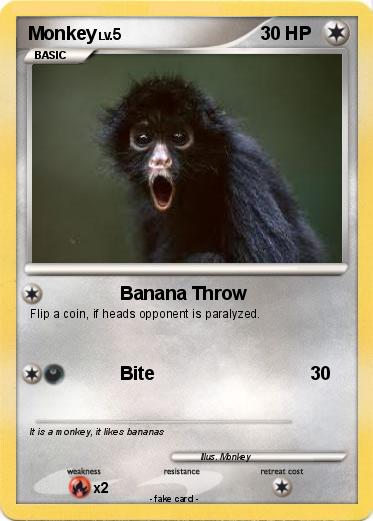 Pokemon Monkey