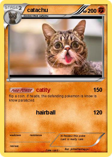 Pokemon catachu
