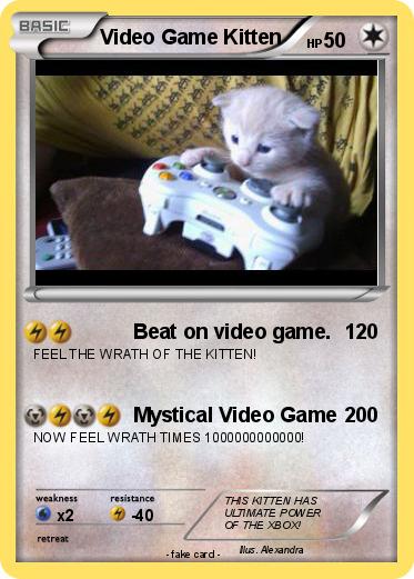 Pokemon Video Game Kitten