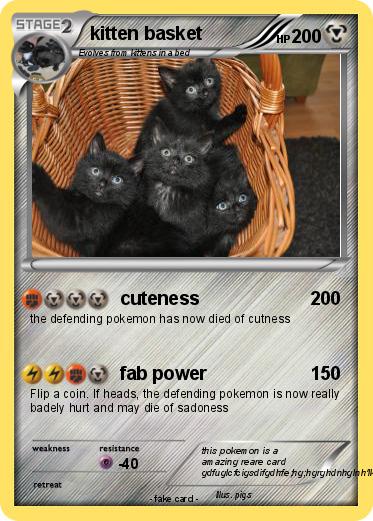 Pokemon kitten basket