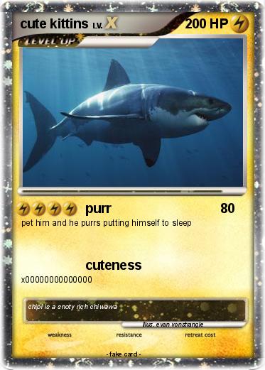 Pokemon cute kittins