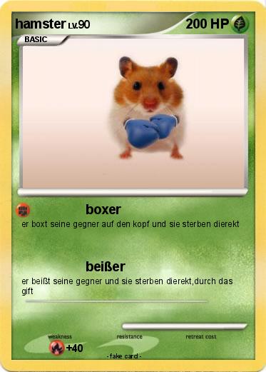 Pokemon hamster