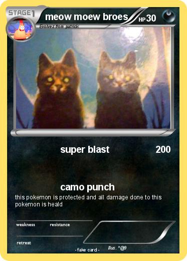 Pokemon meow moew broes