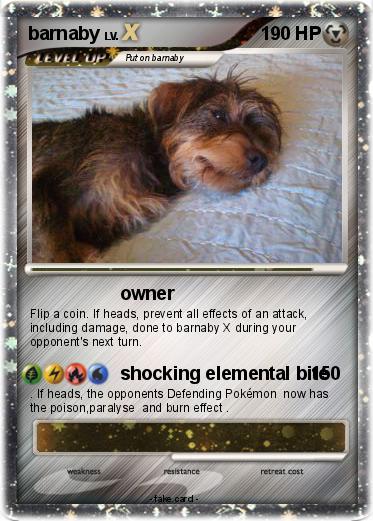 Pokemon barnaby