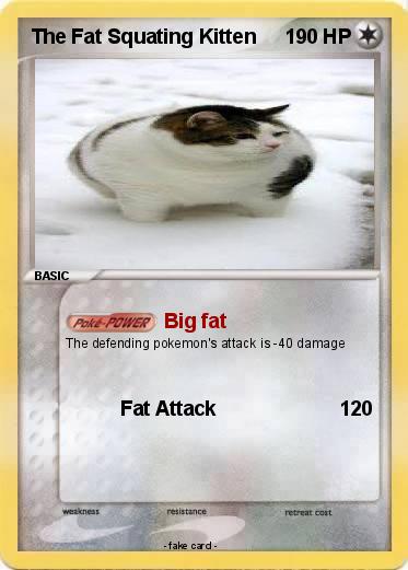 Pokemon The Fat Squating Kitten
