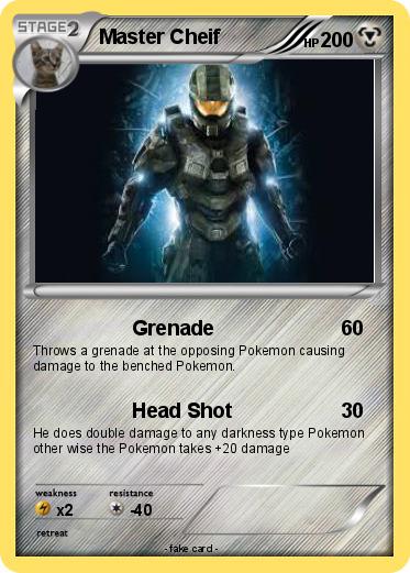 Pokemon Master Cheif