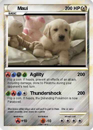 Pokemon Maui