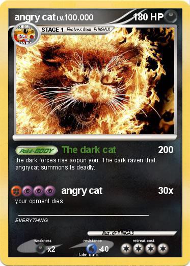 Pokemon angry cat