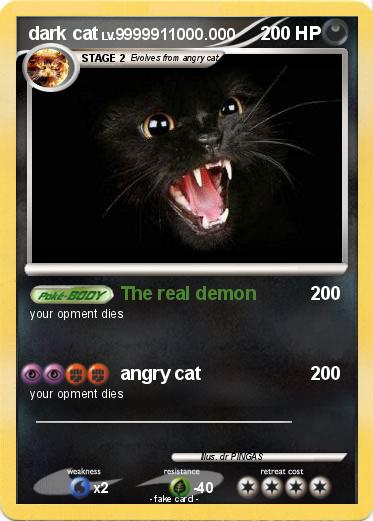 Pokemon dark cat