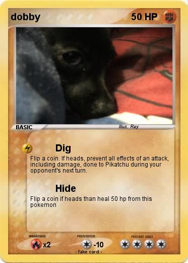 Pokemon dobby