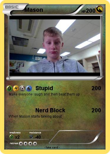 Pokemon Mason